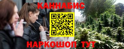 Альфа ПВП Ставрополь