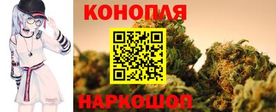 Альфа ПВП Ставрополь