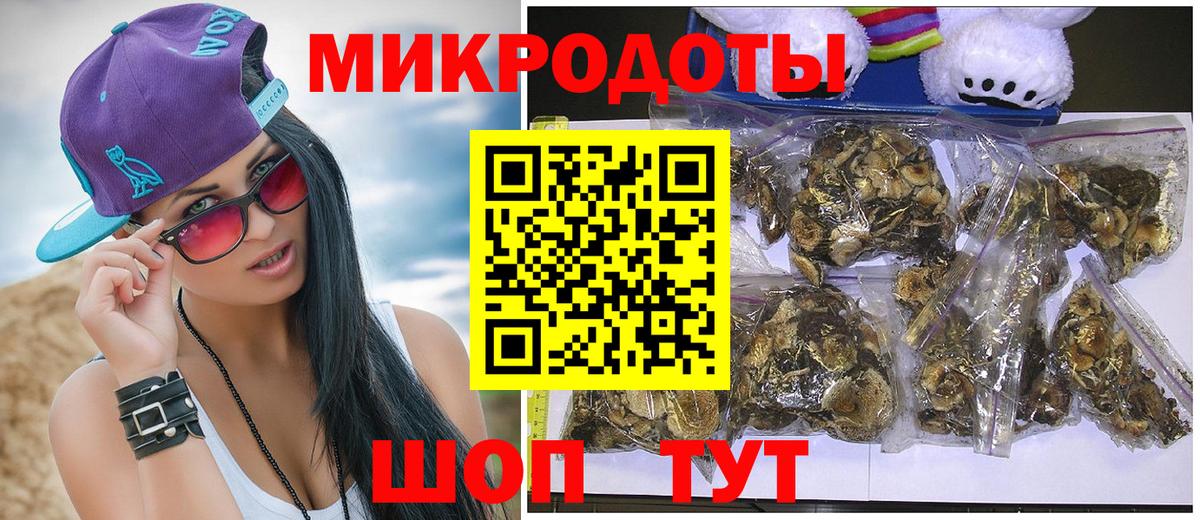 Псилоцибиновые грибы GOLDEN TEACHER Новороссийск