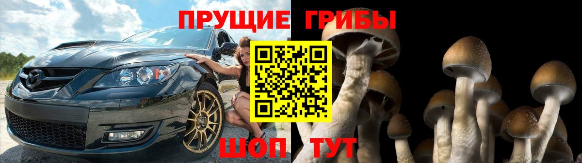 Псилоцибиновые грибы Cubensis  Псилоцибиновые грибы мицелий  Вход с VPN  Новороссийск 